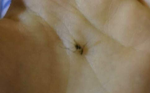 Λ���c����