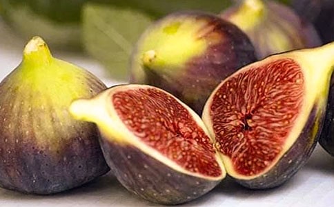 �K�ğo�������~