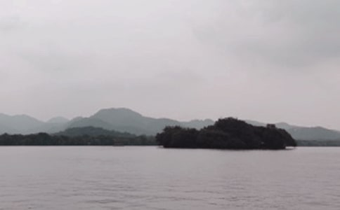 �����������ġ����T��