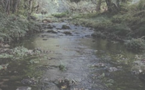 ����һ�lСϪ��