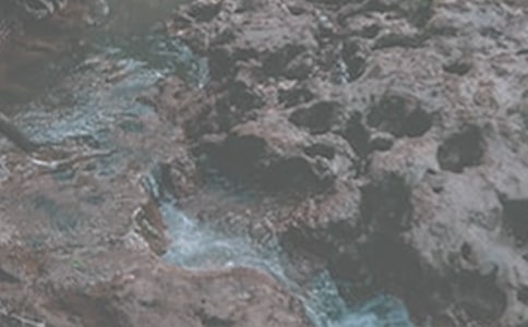 �x��СϪ���ĸ衷�иУ����x15ƪ��