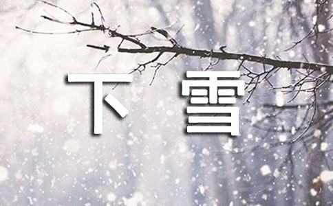 下雪了優(yōu)秀作文15篇
