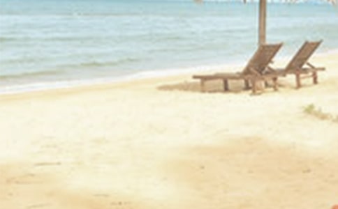 �ļ�����600����ƪ