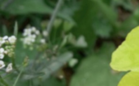 ����δ��������һ���˵��L�������~