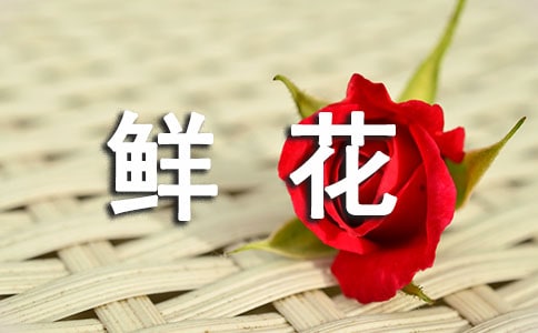 �r���ͽo��������11ƪ