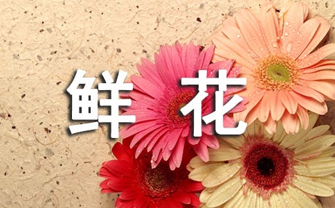 鮮花送給你作文