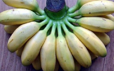 �^���㽶������