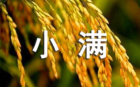 2016��С�M������ʲô�r��