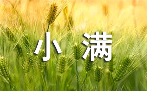 �P��С�M������V�Z��ȫ