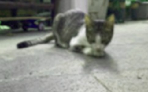 �ɐ۵�С؈С�W����(15ƪ)