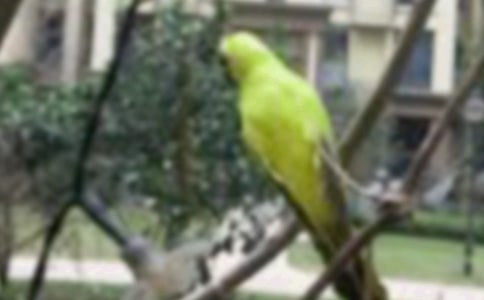 ���oС�B���ģ�ͨ��29ƪ��
