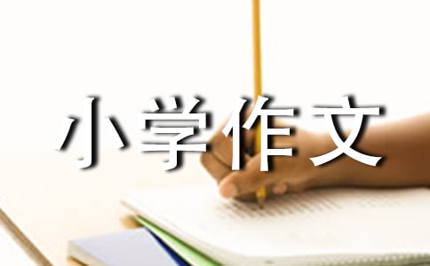 ���õęC���˵�С�W����