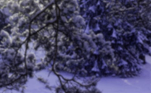 小雪節(jié)氣小班社會教案模板(通用5篇)