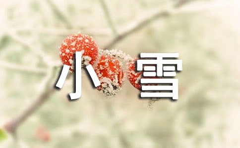 2016��Сѩ��ʲô�r(sh��)��