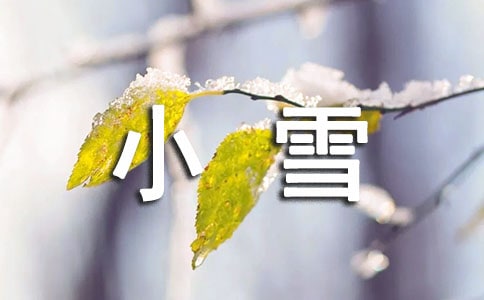小雪花小班音樂教案