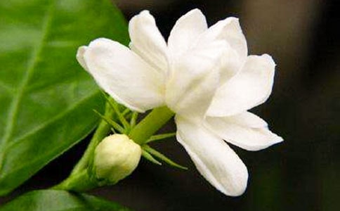 �v��С�����M�����ģ�ҹ����