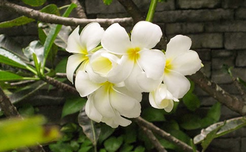 �P��ҹ���������