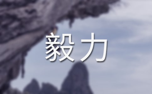 ���� ���P(gu��n)�������ĳ�������