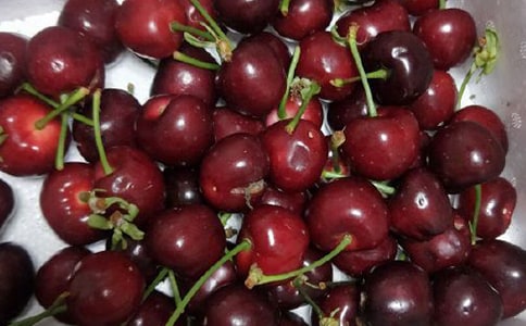 ժ���Ҕ�������5ƪ