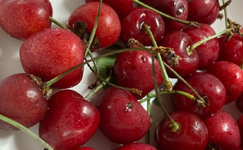���������l�ę�������