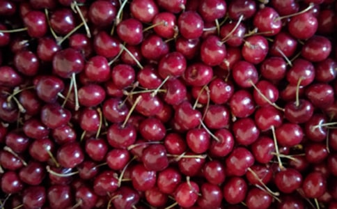 ���l(xi��ng)�ę������ġ����T��
