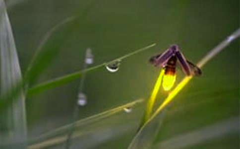 �茑Ξ���x�ĸ�������