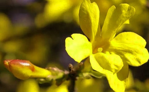 ���P(gu��n)ӭ����������