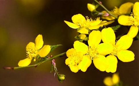 �cӭ�������P(gu��n)������