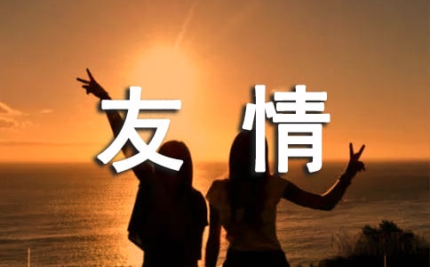 友情的作文300字優選6篇