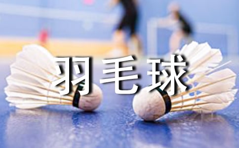 有關(guān)打羽毛球的作文精華(5篇)
