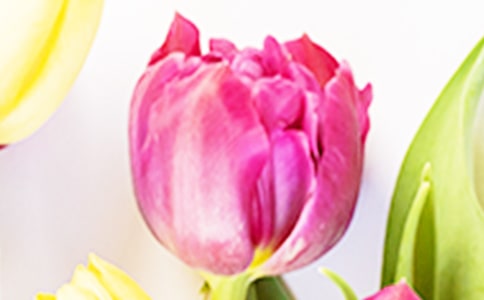 �Ґ�����������