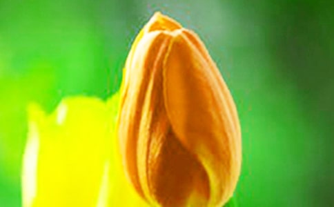 ����������������18ƪ