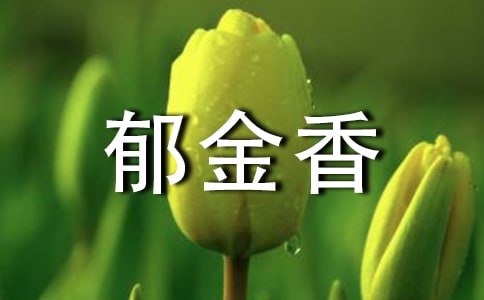 ����������������(15ƪ)