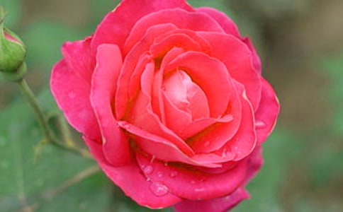 �������¼������ľ��x15ƪ