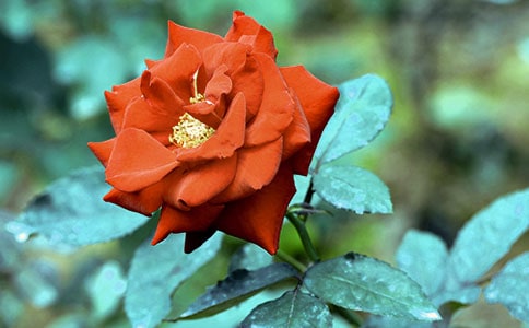 �����x���¼���������4ƪ