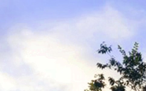 �����簲�������ľ���