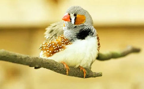 �P�������B������3ƪ(�؂�)
