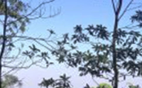 �옷����������3ƪ