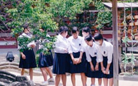 ���x�ЌW����������3ƪ