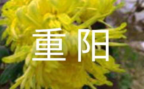 ���P���Ȥ������3ƪ