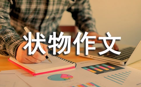 С�W(xu��)��������