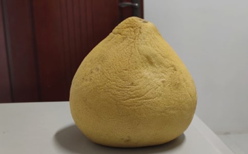 �茑���Ә�����ģ����x24ƪ��