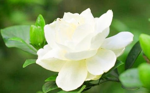 �d�ӻ��_���V���װ�-����
