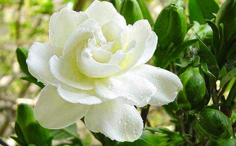 �P�ڗd�ӻ������ļ���11ƪ