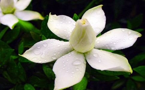 �Ҽҵ�����d�ӻ�����