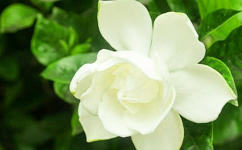 �P(gu��n)�ڗd�ӻ�����(7ƪ)