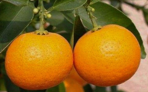 ���᡿���l����������