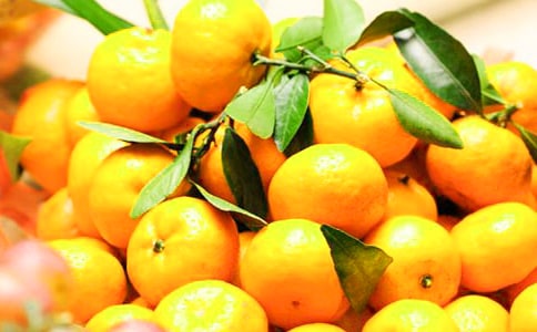�����(y��u)��̰������Ўװ�
