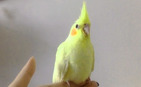 �Ҽҵă�ֻ�P�^�W�^����