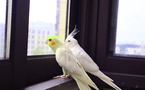 �ҵĄ��������W�^���ģ����T��